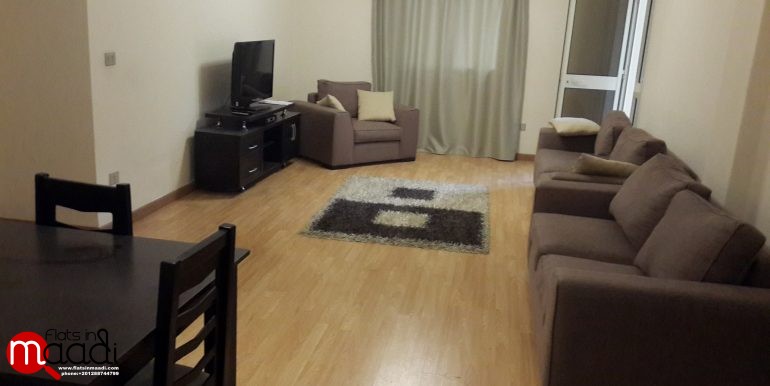 Apartment for rent in Maadi Sarayat (2)