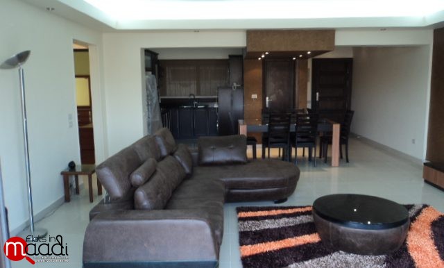 Apartment for rent in Maadi Sarayat (20)