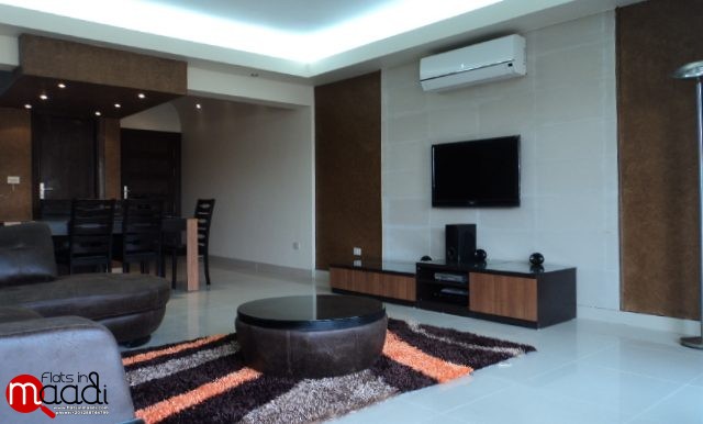 Apartment for rent in Maadi Sarayat (21)