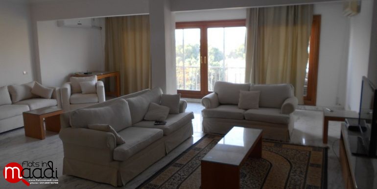 Furnished Apartment For Rent In Maadi Degla (1)