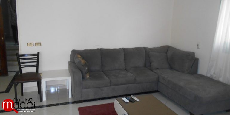 Furnished Apartment For Rent In Maadi Degla (4)