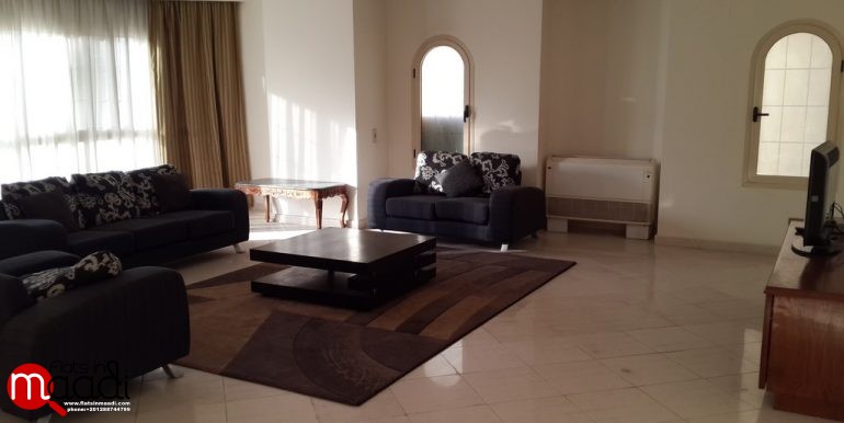 Furnished Apartment For Rent In Maadi Degla (4)