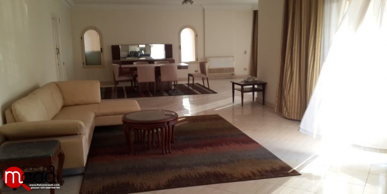 Furnished Apartment For Rent In Maadi Degla (5)