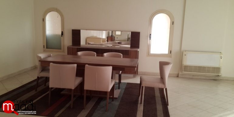 Furnished Apartment For Rent In Maadi Degla (6)