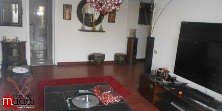 Furnished Apartment For Rent In Maadi Sarayat (10)