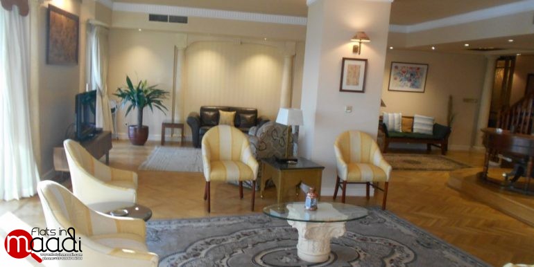 Furnished Apartment Overlooking The Nile For Rent (3)