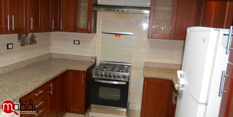 Furnished apartment for rent in Maadi Degla (10)