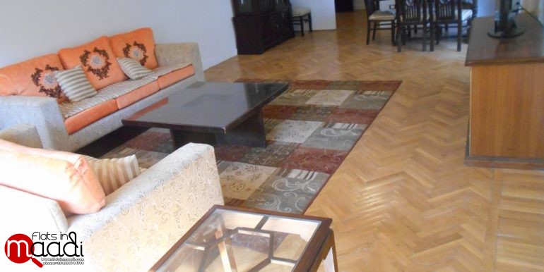 Furnished apartment for rent in Maadi Degla (3)