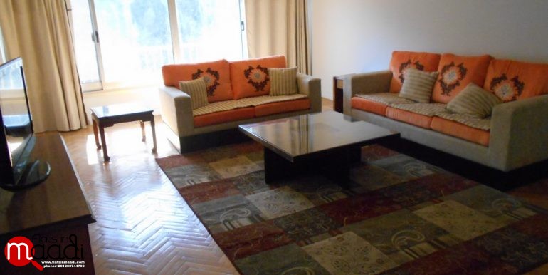 Furnished apartment for rent in Maadi Degla (5)