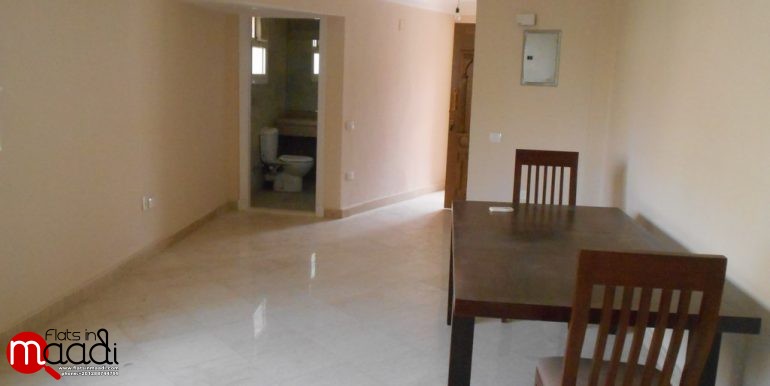 Furnished penthouse Located In Maadi Degla (2)