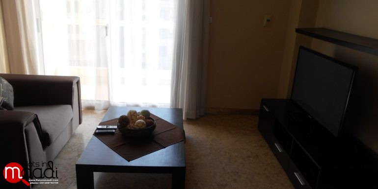 Modern Apartment For Rent In Maadi Degla (20)