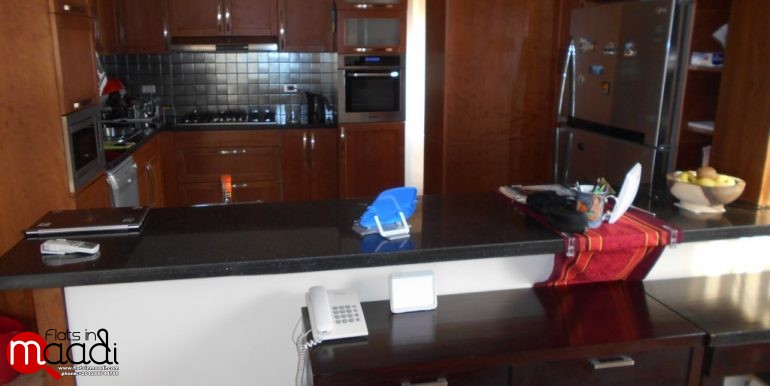 Modern Apartment For Rent In Maadi Degla (6)