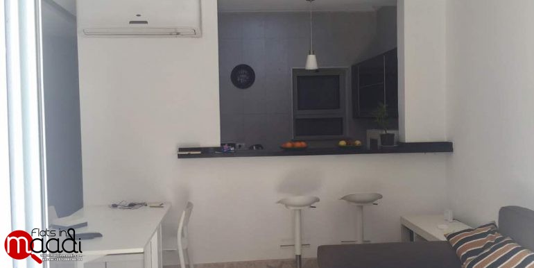 Modern Apartment Located In Maadi Sarayat For Rent (5)