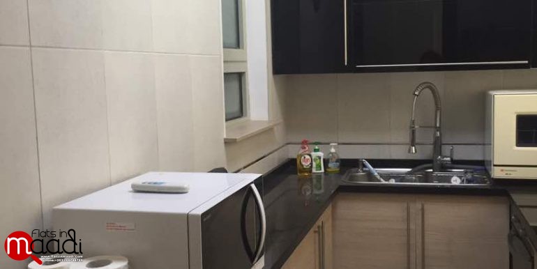 Modern Apartment Located In Maadi Sarayat For Rent (6)