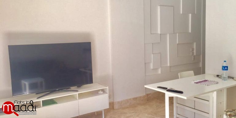 Modern Apartment Located In Maadi Sarayat For Rent (7)