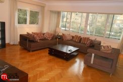 BRIGHT APT FOR RENT IN DEGLA MAADI