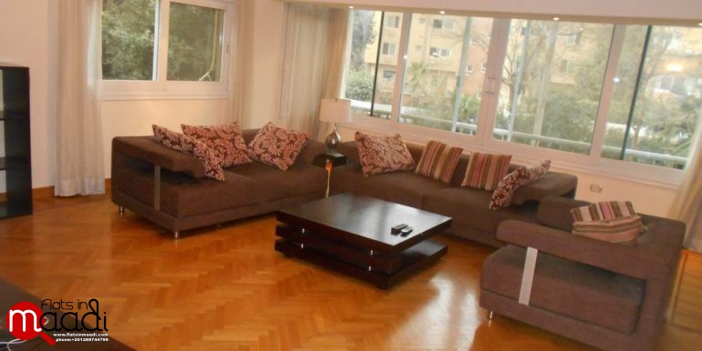 Modern Furnished Apartment For Rent In Maadi Degla (3)