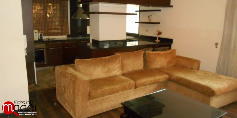 Modern Furnished Apartment For Rent In Maadi Sarayat (2)