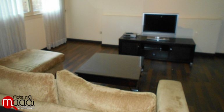 Modern Furnished Apartment For Rent In Maadi Sarayat (7)