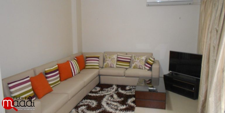 Modern Furnished Ground Floor For Rent In Maadi Degla (3)