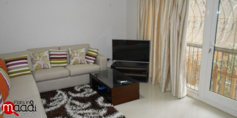 Modern Furnished Ground Floor For Rent In Maadi Degla (4)