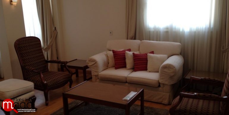 Modern Furnished apartment for rent in Maadi Digla (31)