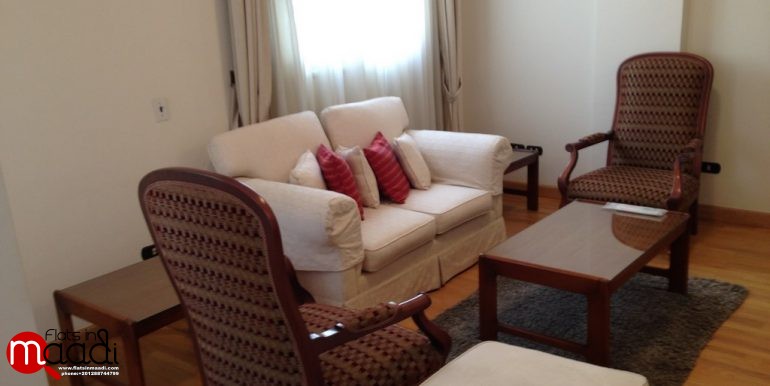 Modern Furnished apartment for rent in Maadi Digla (33)