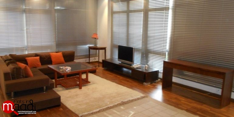 Modern Ground Floor For Rent In Maadi Degla (3)