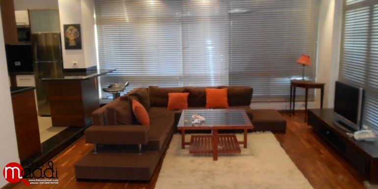 Modern Ground Floor For Rent In Maadi Degla (4)