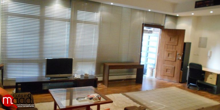 Modern Ground Floor For Rent In Maadi Degla (9)