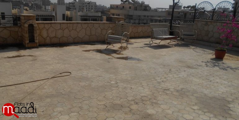 Modern Penthouse For Rent In Maadi Degla (17)