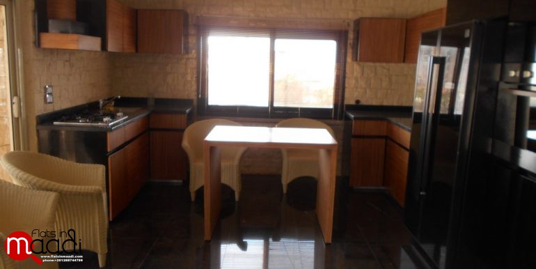 Modern Penthouse For Rent In Maadi Degla (2)