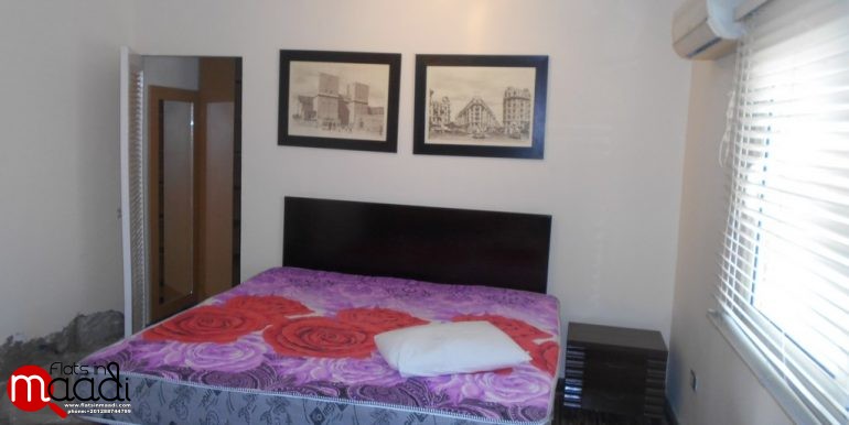 Modern Penthouse For Rent In Maadi Degla (4)