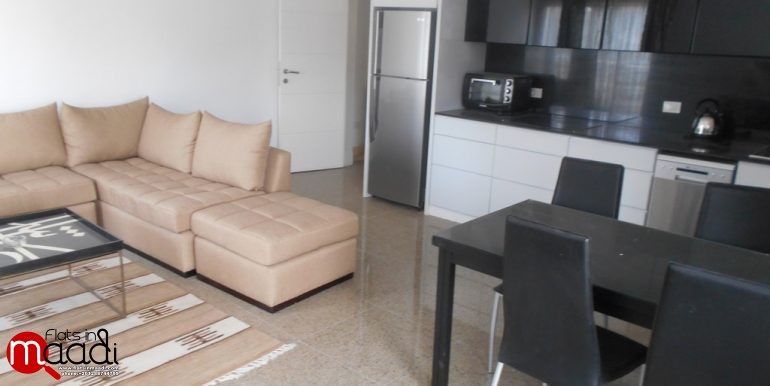 Modern Studio For Rent In Maadi Sarayat (1)