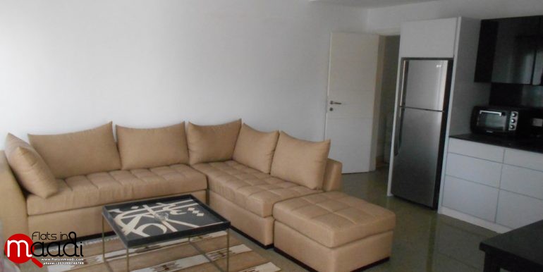 Modern Studio For Rent In Maadi Sarayat (2)