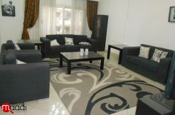 Newly Renovated And Painted Modern Furnished Apt In Degla Maadi