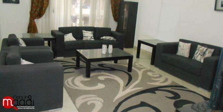 Modern furnished apartment for rent in Maadi Digla (1)