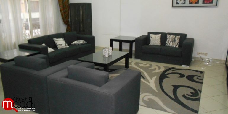 Modern furnished apartment for rent in Maadi Digla (4)