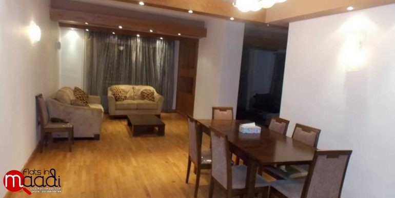 Modern furnished apartment for rent in Maadi Sarayat (1)