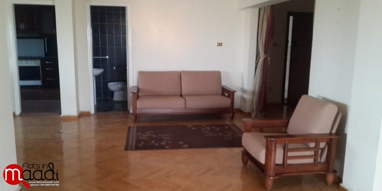 Penthouse for rent in Maadi Sarayat (7)