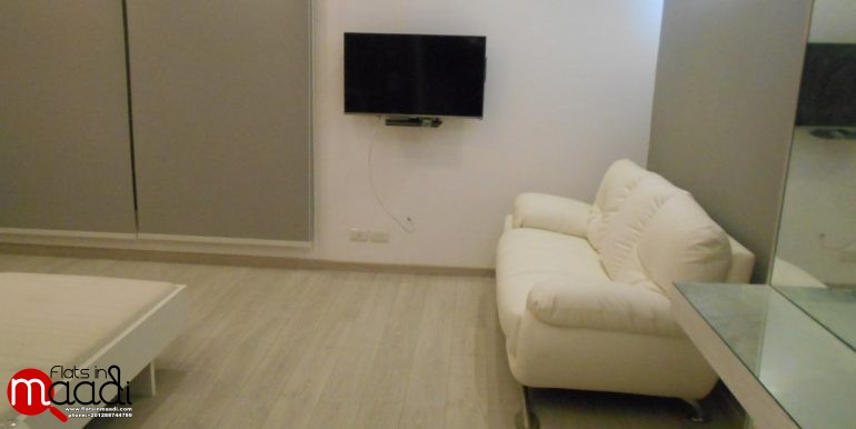 Studio with common Pool for rent in Maadi Sarayat (3)