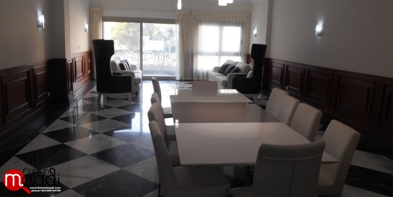 Ultra Modern Apartment For Rent In Maadi Sarayat (3)