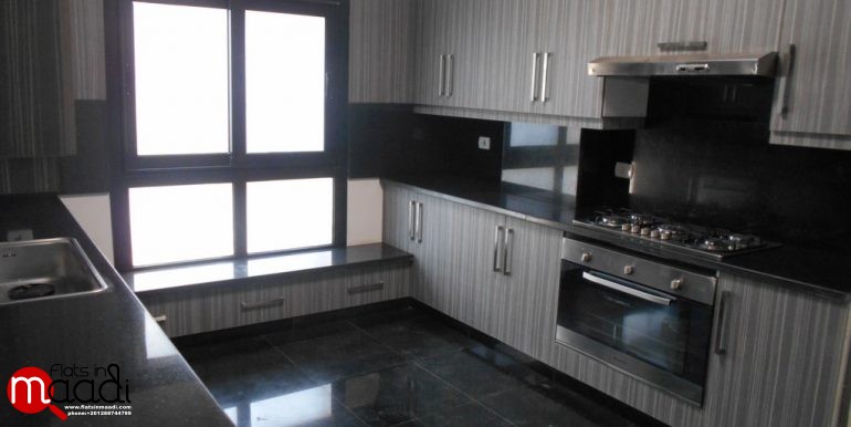 Ultra Modern Apartment For Rent In Maadi Sarayat (7)