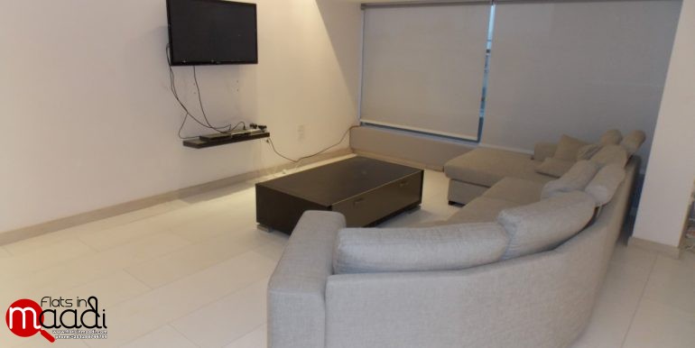 Ultra Modern Penthouse for rent in Maadi Digla (9)