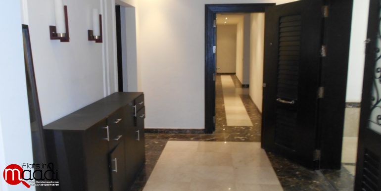 Ultra Modern apartment for rent in Maadi Digla (10)