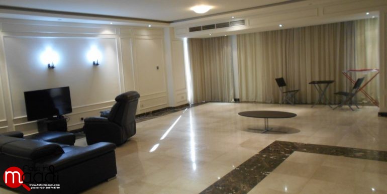 Ultra Modern apartment for rent in Maadi Digla (2)