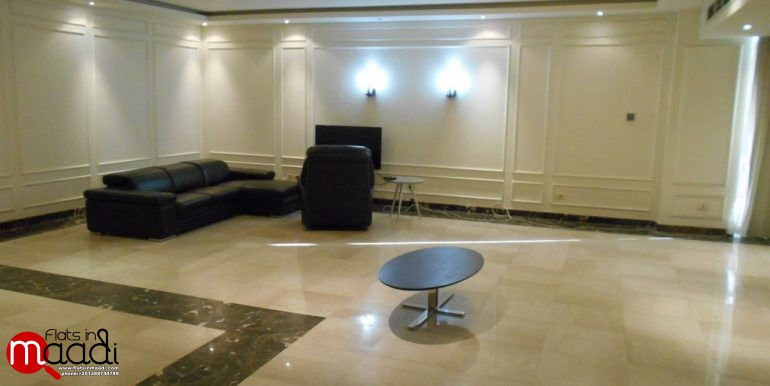 Ultra Modern apartment for rent in Maadi Digla (6)