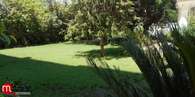 Villa For Rent In Maadi Degla (12)