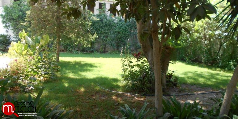 Villa For Rent In Maadi Degla (2)