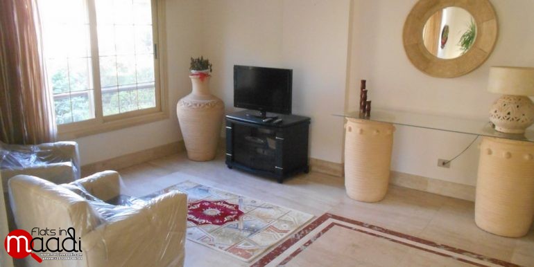 Modern Furnished apartment located in maadi degla for rent (1)